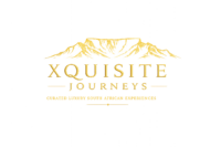 primary logo transparent 2