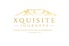 primary logo transparent